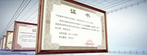 Company Certificate